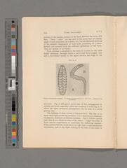 Go to image 104.