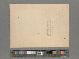 Go to image 2.