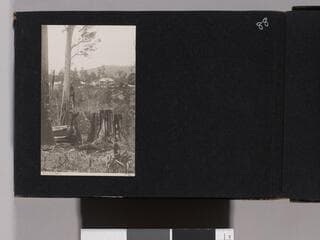 Go to image 90.