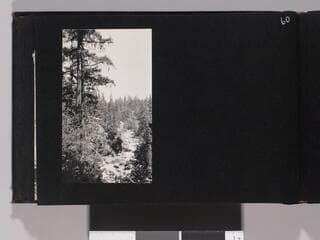 Go to image 62.