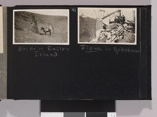 Go to image 45.