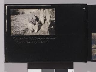 Go to image 6.