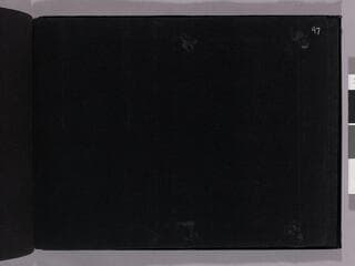 Go to image 99.