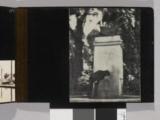 Go to image 103.