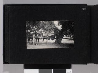 Go to image 28.