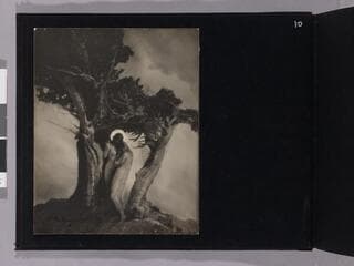 Go to image 12.