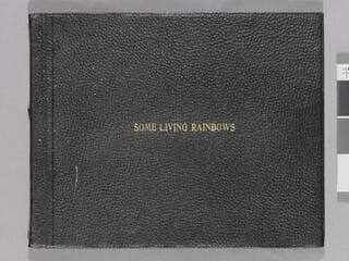 Go to image 1.