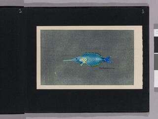 Go to image 5.