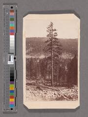Go to image 1.