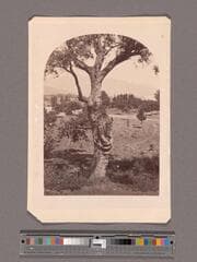 Go to image 1.