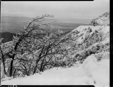 Snow scene