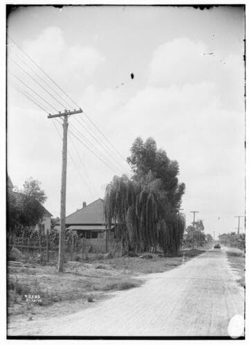 Distribution Lines
