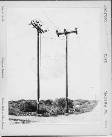 Distribution Lines