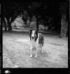 Go to image 32.