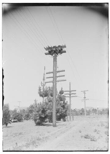 Distribution Lines