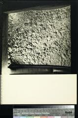 Go to image 11.