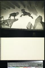Go to image 9.