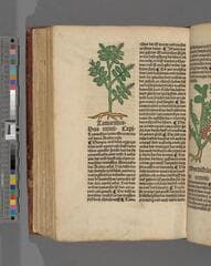 Go to image 436.