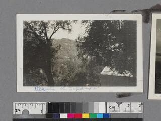 Go to image 81.