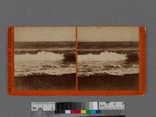 Go to image 1.