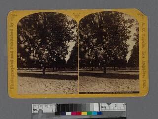 Go to image 1.