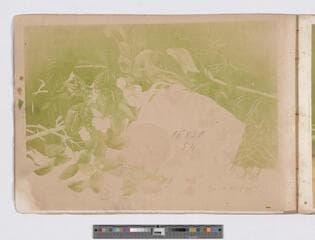 Go to image 9.
