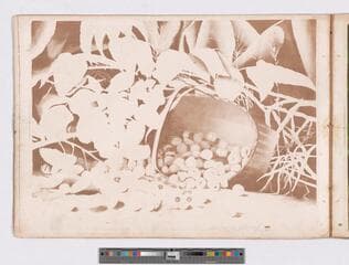 Go to image 17.