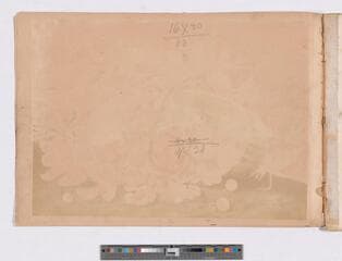 Go to image 35.
