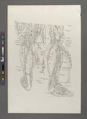 Go to image 299.