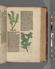 Go to image 245.