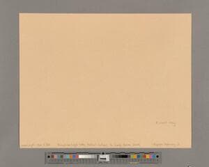 Go to image 5.