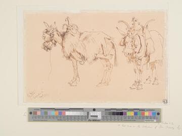 Swiss Mules