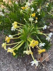 Go to image 4.