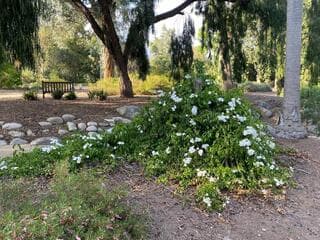 Go to image 4.