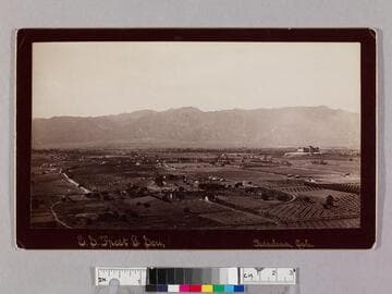 Pasadena view