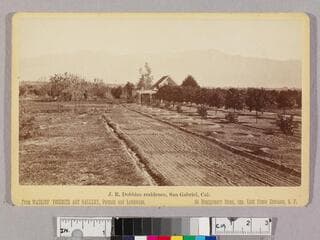 Go to image 1.