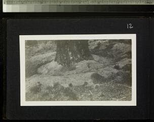 Go to image 14.