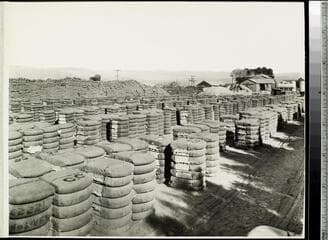 Go to image 65.