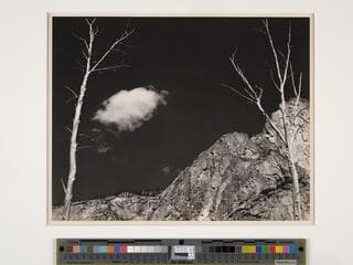 Go to image 1.