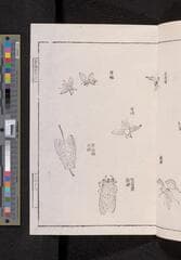 Go to image 83.