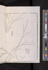 Go to image 74.