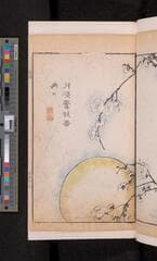 Go to image 331.