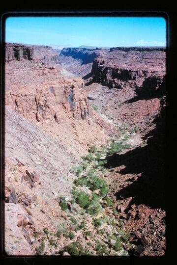 Down Cha Canyon