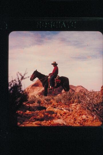 Buck Whitehat