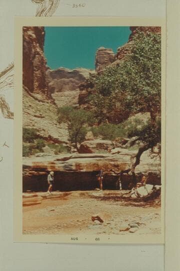 Clearwater Canyon?