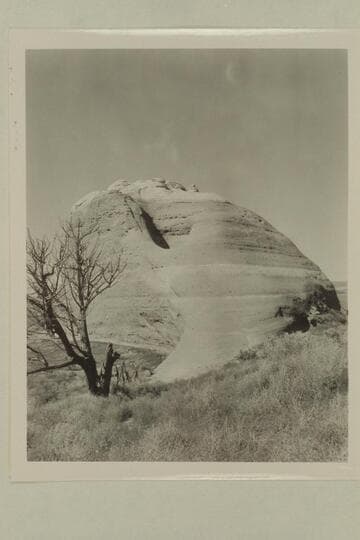 Jail Rock