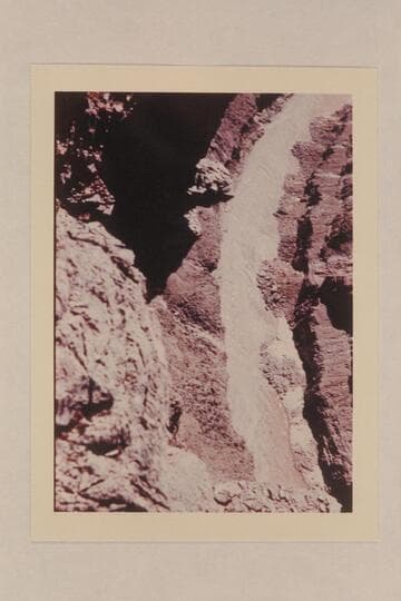 Sinyala Rapid