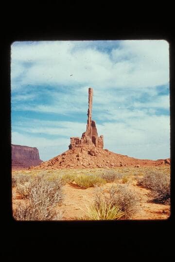 Totem pole