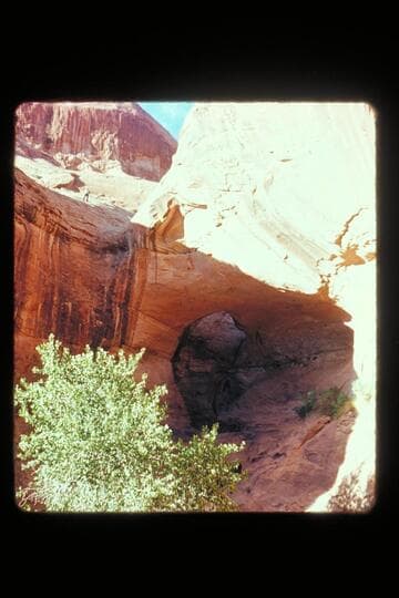 Many Goats Arch