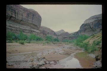 Up Roost Canyon